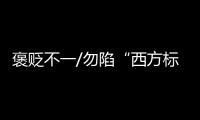 褒贬不一/勿陷“西方标准”　应靠实力说话