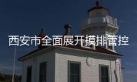 快排公司十年历程，霸屏兔 seo 的崛起与坚守