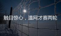 快排公司十年历程，霸屏兔 seo 的崛起与坚守