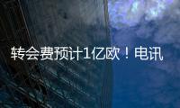 快排公司十年历程，霸屏兔 seo 的崛起与坚守