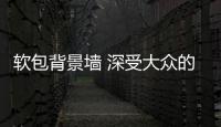 软包背景墙 深受大众的青睐与使用