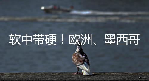欧洲、软中软中带硬