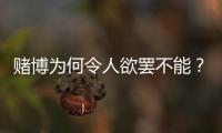 赌博为何令人欲罢不能�？