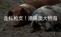 走私枪支
	！港珠澳大桥海关	，查了	！