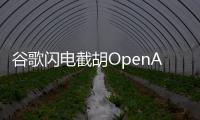 谷歌闪电截胡OpenAI	，挖走这家公司CEO与核心大脑