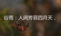 谷雨：人间芳菲四月天，且惜春光且前行