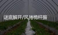 谜底解开/风捲桅杆振 赛格大厦摇