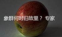 象群何时归故里
？ 专家�	：大约在冬季