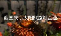 迎国庆
，太阳能路灯企业忙业绩同时要保证品质