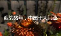 迎战猪年	，中国十大门业品牌深耕精众圈子