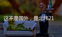 快排公司十年历程，霸屏兔 seo 的崛起与坚守