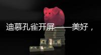 迪慕孔雀开屏——美好
，幸福，只此一灯	，便是万年!