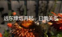 远东烽烟再起，日俄关系为何再度紧张	？丨智库视点