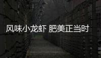 风味小龙虾 肥美正当时！珠海这家店赢得食客“正宗”认证