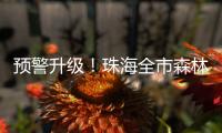 预警升级
！珠海全市森林火险橙色预警信号生效