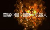 首届中国（国际）机器人辩论大赛启幕，团队报名通道开放