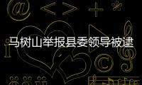 马树山举报县委领导被逮捕公诉事件中相关责任人员被问责