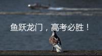 鱼跃龙门
，高考必胜！