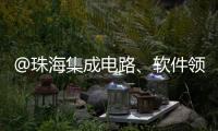 @珠海集成电路	、软件领域相关企业
，这份AI技术供应表请填报
