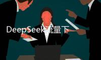 DeepSeek流量下滑
，这半年梁文锋都干了啥�
？