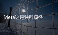 Meta这是独辟蹊径
，还是病急乱投医？