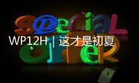 WP12H｜这才是初夏的正确打开方式！