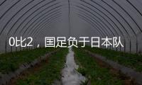 快排公司十年历程，霸屏兔 seo 的崛起与坚守
