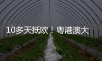 10多天抵欧！粤港澳大湾区首条中欧班列电商快线开通