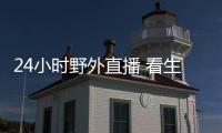 24小时野外直播 看生态系统循环