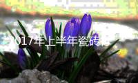 2017年上半年瓷砖行业实现两位数增长