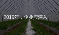 2019年，企业应深入骨髓的塑造小家电品牌