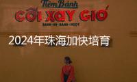 2024年珠海加快培育新质生产力
，高技术制造业增加值同比增长15％