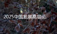 2025中国发展高层论坛：真诚欢迎国际资本回归中国