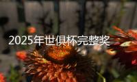 2025年世俱杯完整奖金榜：切尔西1.146亿美元居首	，巴黎1.069亿