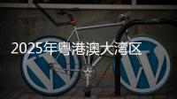 2025年粤港澳大湾区青少年公益年会举行