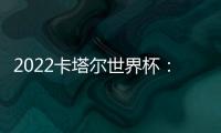2022卡塔尔世界杯	：实现梦想的旅程