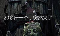 20多斤一个�
，突然火了�！杭州一菜场摊主：没有现货，隔两天就有人来预订