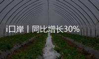 i口岸丨同比增长30%！“五一”假期首日，港珠澳大桥通关火爆