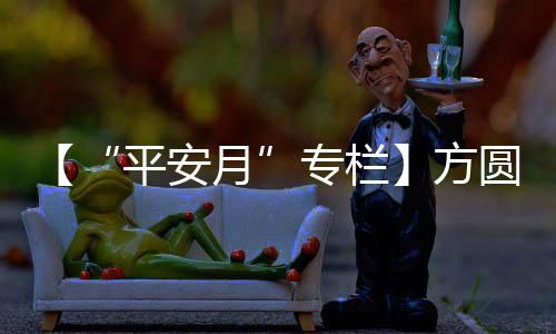 专栏专业技术等方面进行授课