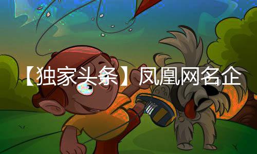 凤凰访格目前行业发展已30年