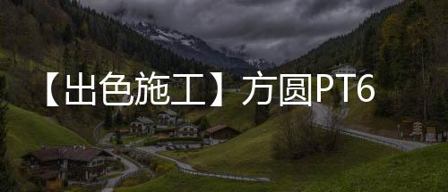 刹车失灵保卫	、型塔项目近日