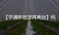 【宇通新能源再亮剑】纯电动港口轮胎起重机即将闪耀天津航运展
！