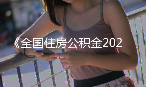 全国取额全国2024年末