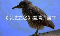 《以法之名》看清许言午的神秘身份
，才懂江敏对洪亮的算计有多狠