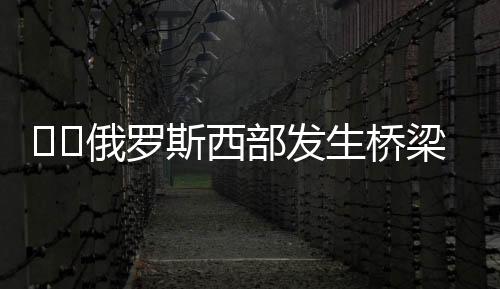 布良斯克州位于俄罗斯西部