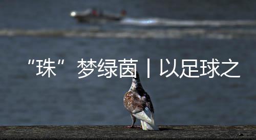 学生用手抄报定格绿茵激情