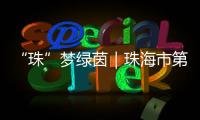 “珠”梦绿茵｜珠海市第八中学：足球特色铸就未来
