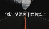 “珠”梦绿茵｜绿茵场上
，向阳花开——平沙实小足球小将的汗水与梦想
