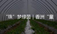 “珠”梦绿茵｜香洲“童超”，有模有样�！首届幼儿足球趣味赛落幕
