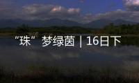“珠”梦绿茵｜16日下午，珠海市青少年足球锦标赛决赛热血开战
